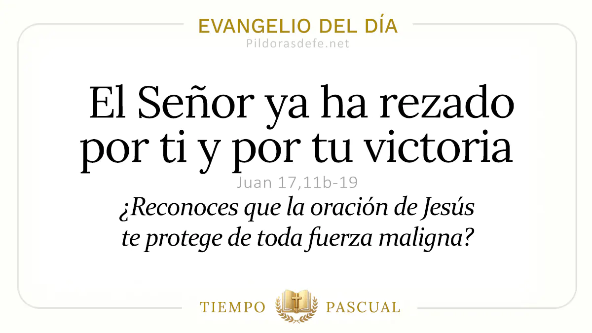 Evangelio del dia Miercoles Juan  b  El Senor ya ha rezado por ti  may webp