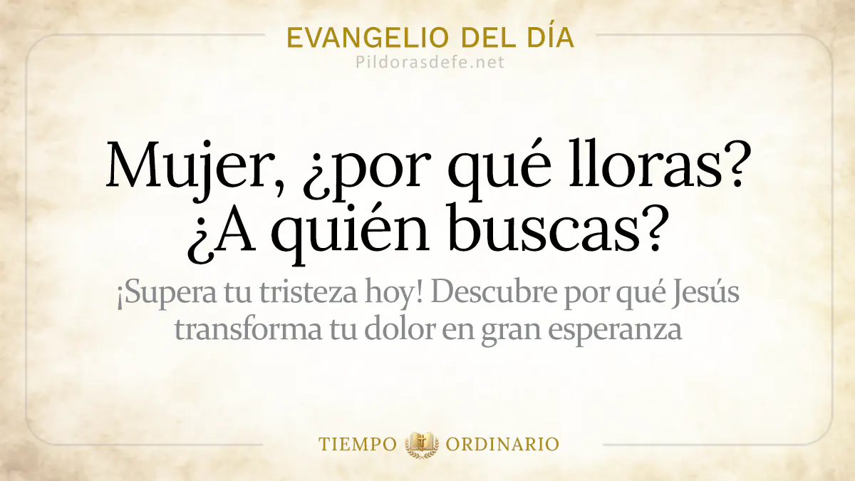 Evangelio del dia Miercoles Juan      Mujer por que lloras  jul webp