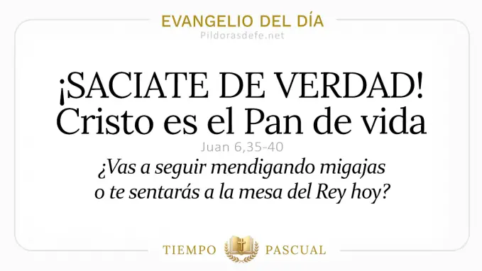 Evangelio del dia Miercoles Juan    Jesus es el Pan de vida  Abril 