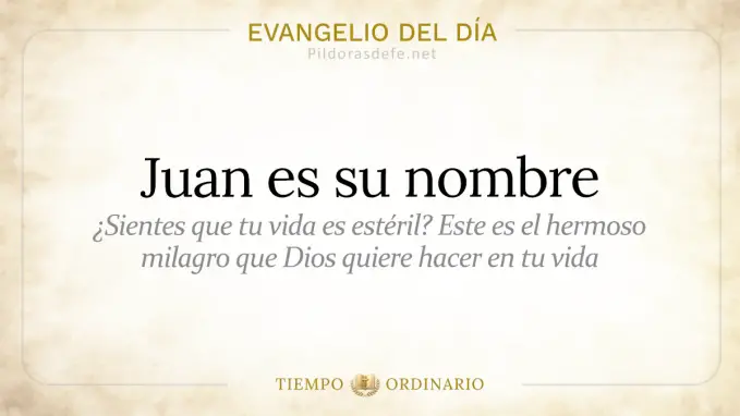 Evangelio del dia Miercoles Juan es su nombre  jun 