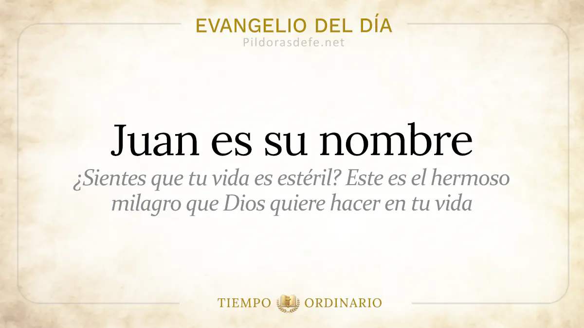 Evangelio del dia Miercoles Juan es su nombre  jun webp