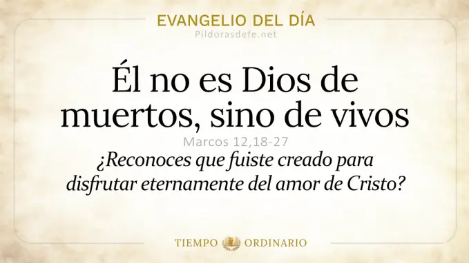 Evangelio del dia Miercoles Marcos    No es Dios de muertos  jun 