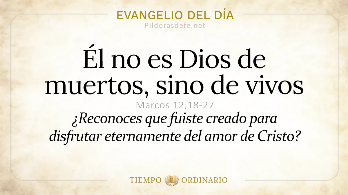 Evangelio del dia Miercoles Marcos    No es Dios de muertos  jun webp