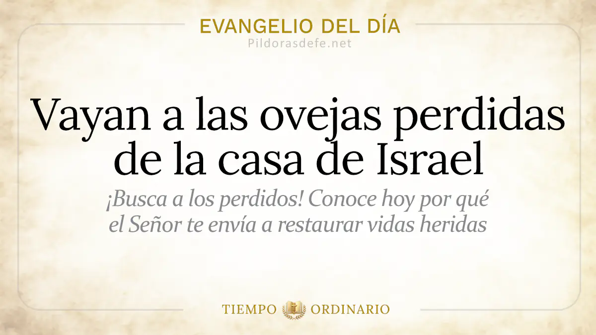 Evangelio del dia Miercoles Mateo    vayan a las ovejas perdidas  jul webp