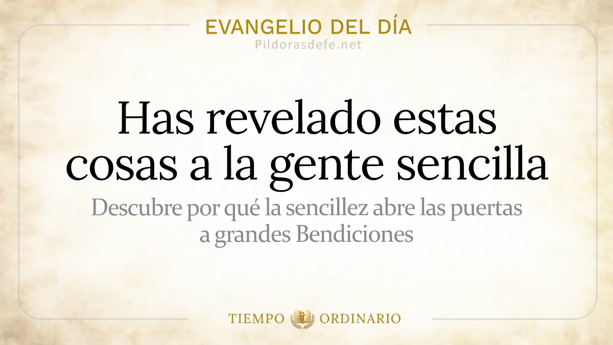 Evangelio del dia Miercoles Mateo    Revelado a la gente sencilla  jul webp