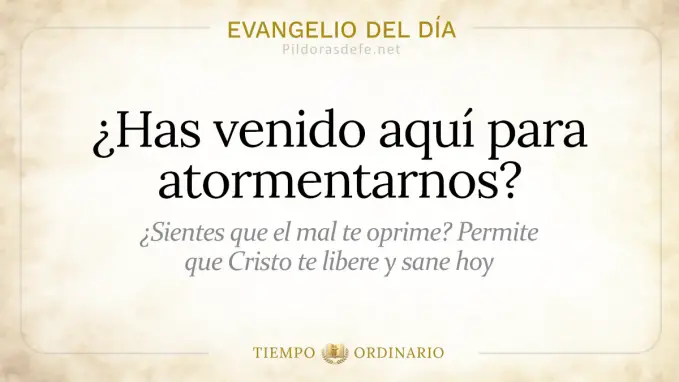 Evangelio del dia Miercoles Mateo    Has venido para atormentarnos  jul 