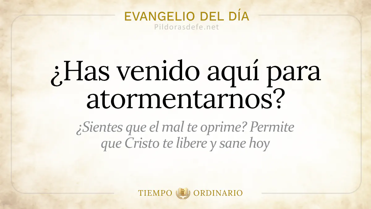 Evangelio del dia Miercoles Mateo    Has venido para atormentarnos  jul webp