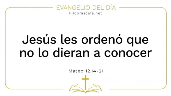 Evangelio del dia Ordeno que no lo dieran a conocer Mateo    Cita Biblica   