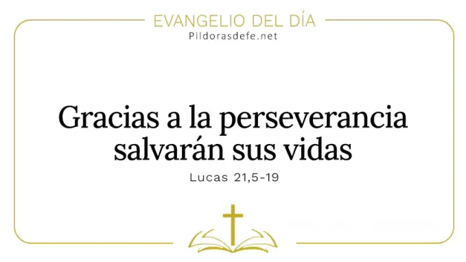 Evangelio del dia Por la perseverancia salvaran sus vidas Lucas Cita Biblica Evangelio del dia Por la perseverancia salvaran sus vidas Lucas Cita Biblica