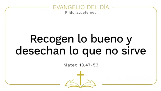 Evangelio del dia Recogen lo bueno desechan lo que no sirve Mateo    Cita Biblica   
