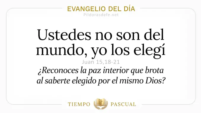Evangelio del dia Sabado Juan    Ustedes no son del mundo  mayo 