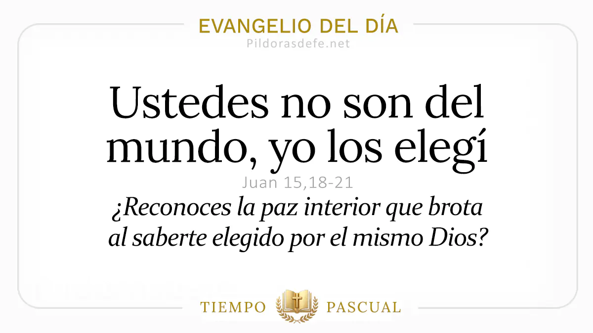Evangelio del dia Sabado Juan    Ustedes no son del mundo  mayo webp