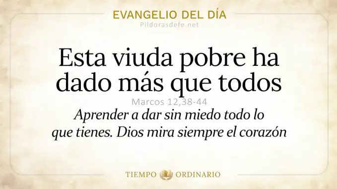 Evangelio del dia Sabado Marcos    La viuda pobre dio mas que todos  jun 