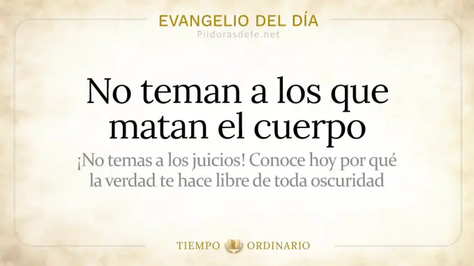 Evangelio del dia Sabado Mateo    No teman a los que matan el cuerpo  jul 