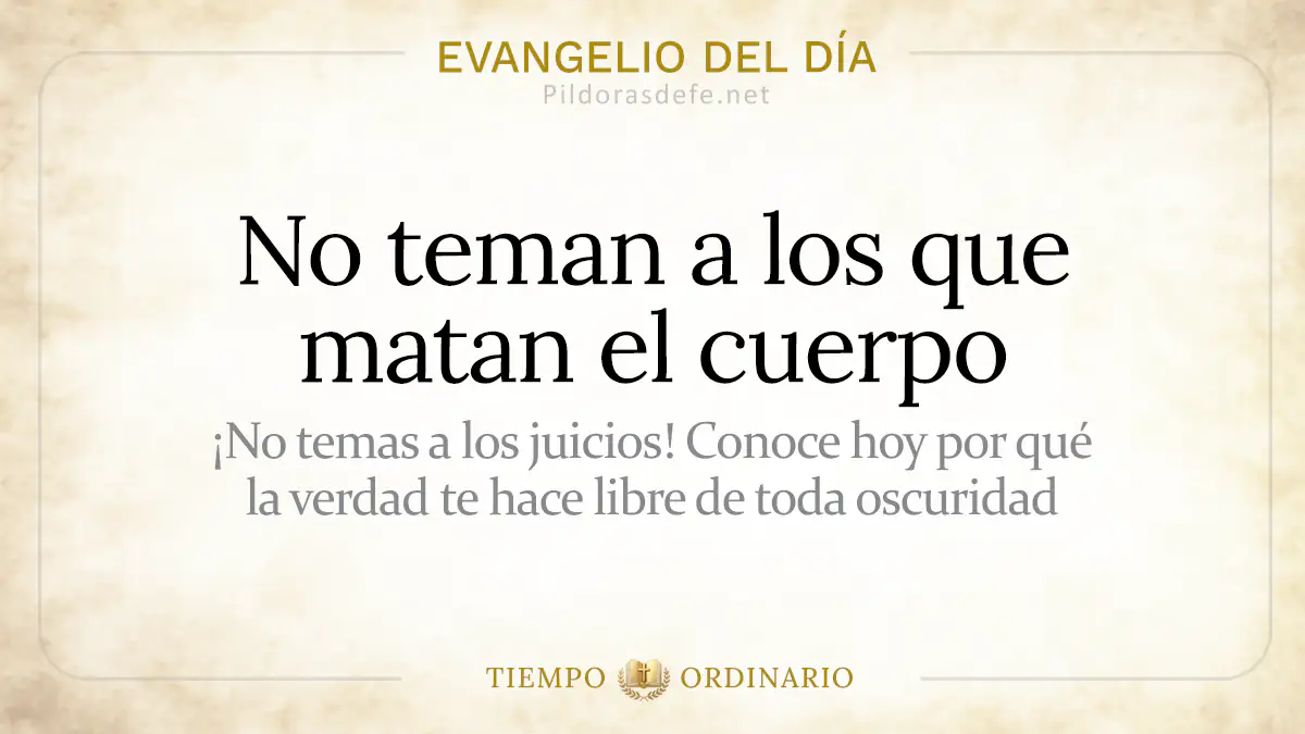 Evangelio del dia Sabado Mateo    No teman a los que matan el cuerpo  jul webp