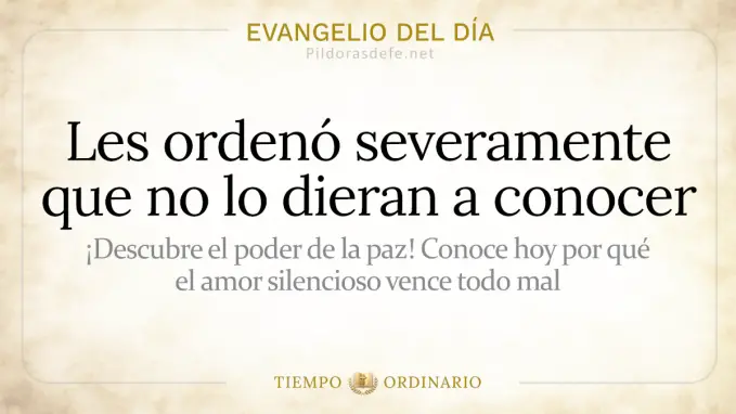 Evangelio del dia Sabado Mateo    Les ordeno que no lo dieran a conocer  jul 