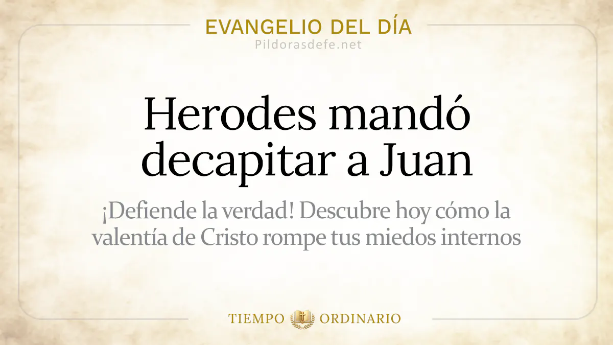 Evangelio del dia Sabado Mateo    Herodes mando decapitar a Juan  Agosto webp