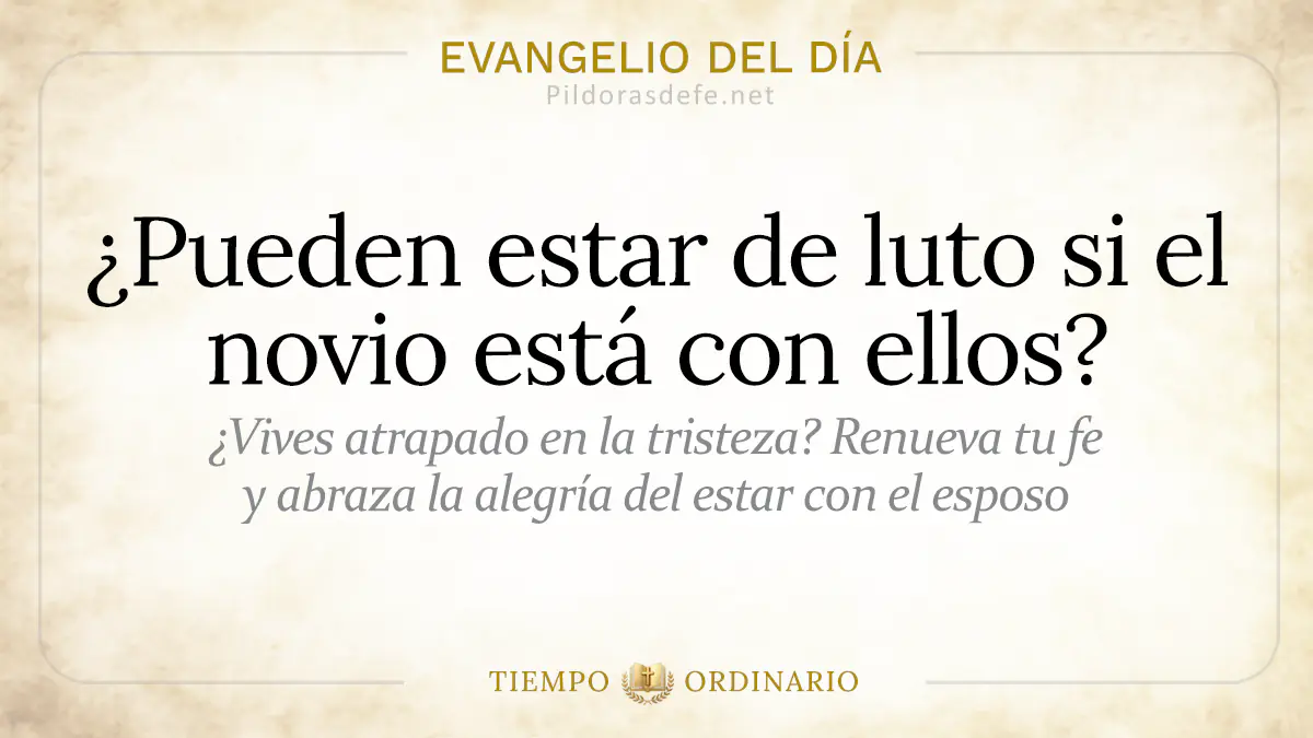 Evangelio del dia Sabado Mateo    De luto si el novio esta con ellos  jul webp