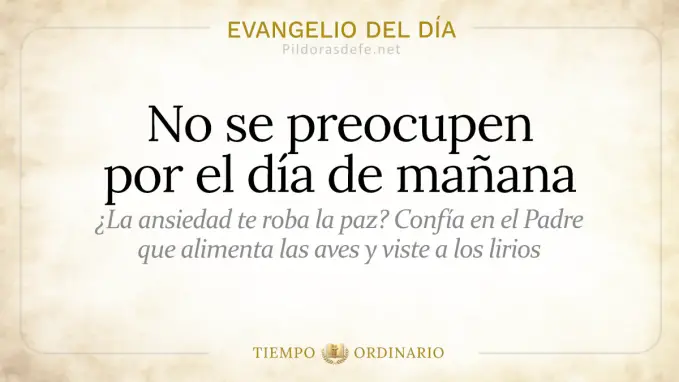Evangelio del dia Sabado No se preocupen por el manana  jun 