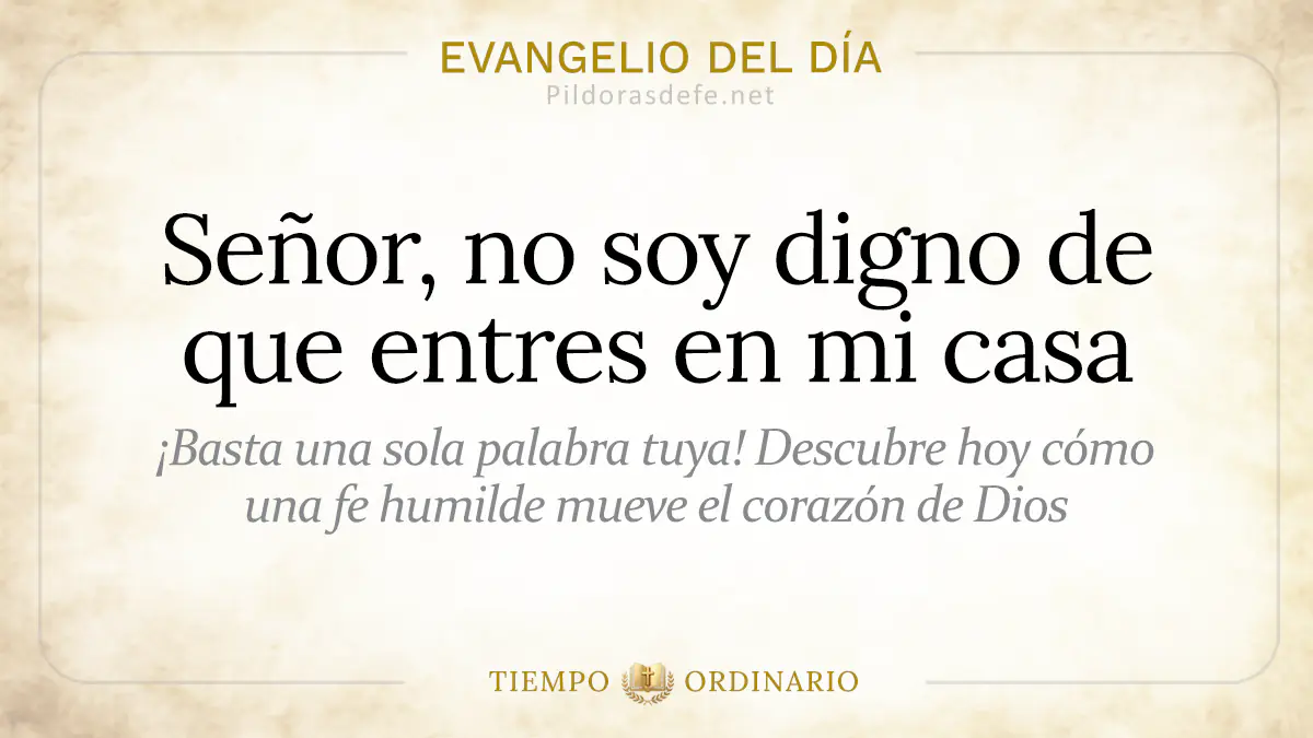 Evangelio del dia Sabado no soy digno de que entres en mi casa  jun webp