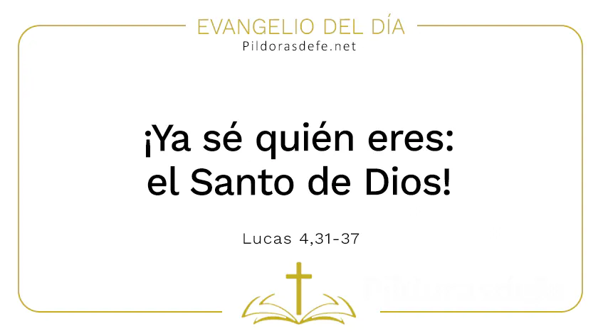 Evangelio del dia Se quie eres Santo de Dios Lucas    Cita Biblica   webp