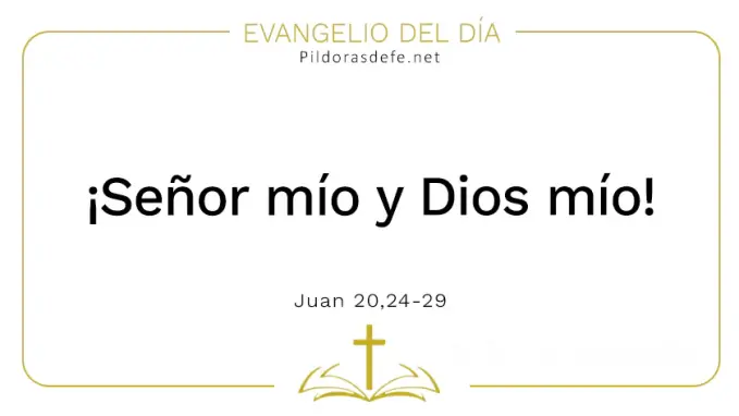 Evangelio del dia Senor mio Dios mio Juan    Cita Biblica   