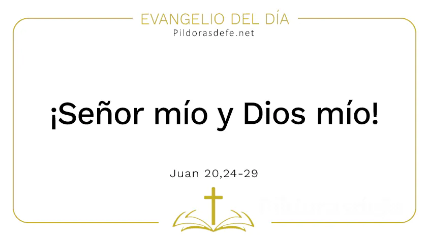 Evangelio del dia Senor mio Dios mio Juan    Cita Biblica   webp