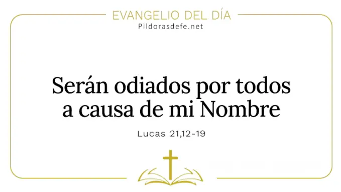 Evangelio del dia Seran odiados por todos Lucas    Cita Biblica   