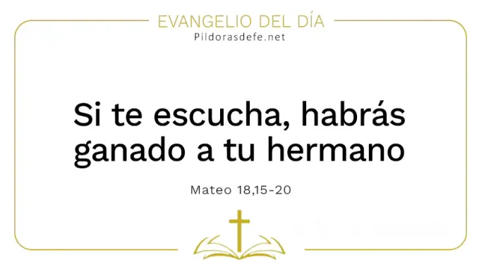 Evangelio del dia Si te escucha has ganado hermano Mateo    Cita Biblica   