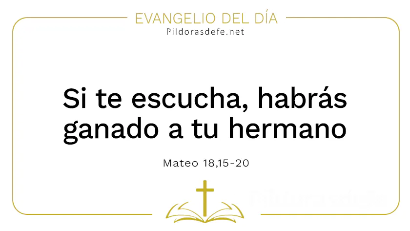 Evangelio del dia Si te escucha has ganado hermano Mateo    Cita Biblica   webp