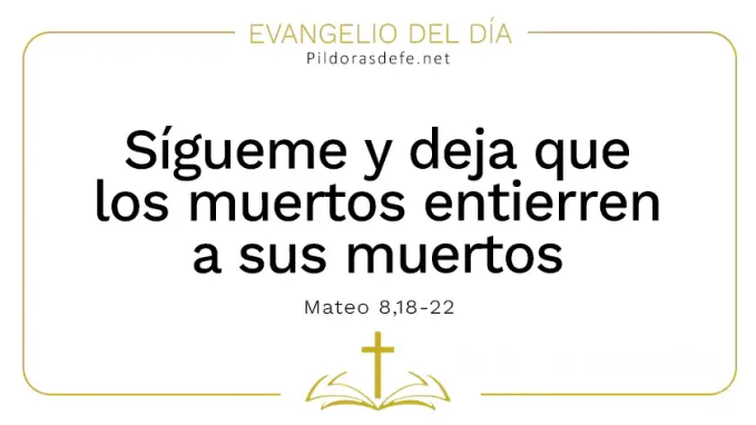Evangelio del dia Sigueme Mateo    Cita Biblica   