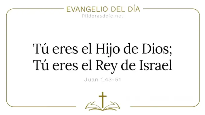 Evangelio del dia Tu eres el Hijo de DIos Juan    Cita Biblica   
