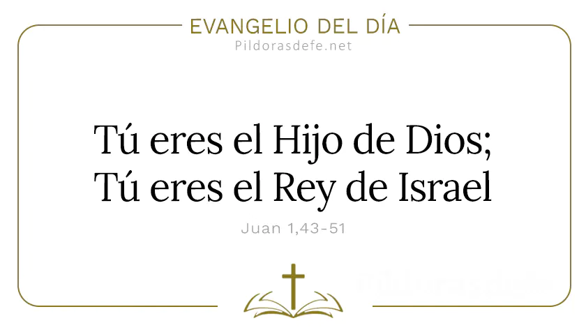 Evangelio del dia Tu eres el Hijo de DIos Juan    Cita Biblica   webp