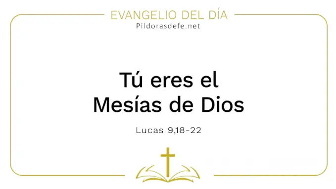 Evangelio del dia Tu eres el Mesias Lucas    Cita Biblica   