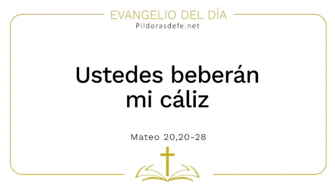 Evangelio del dia Ustedes beberan mi caliz Mateo    Cita Biblica   