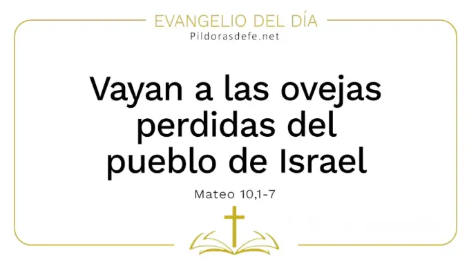 Evangelio del dia Vayan a las ovejas perdidas Mateo    Cita Biblica   