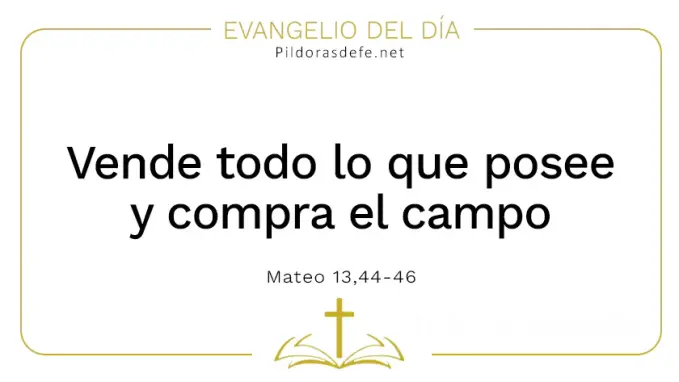 Evangelio del dia Vende lo que tiene compra el campo Mateo    Cita Biblica   