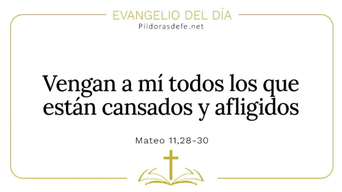 Evangelio del dia Vengan a mi los que estan cansados Mateo    Cita Biblica   