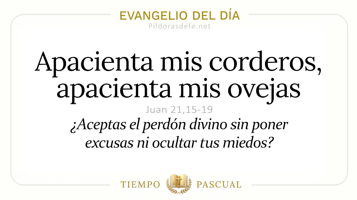 Evangelio del dia Viernes Juan Apacienta mis corderos may webp