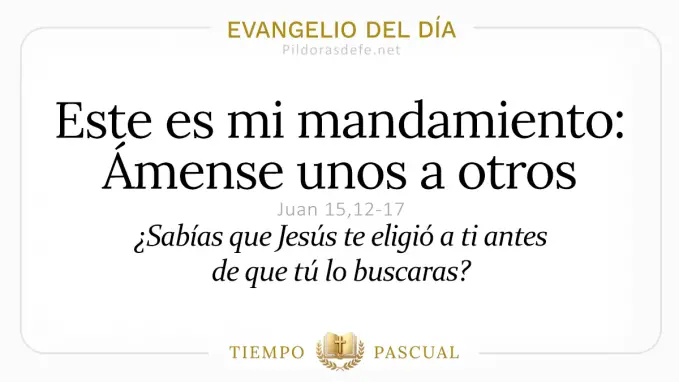 Evangelio del dia Viernes Juan    Mi mandamiento Amense unos otros  mayo 