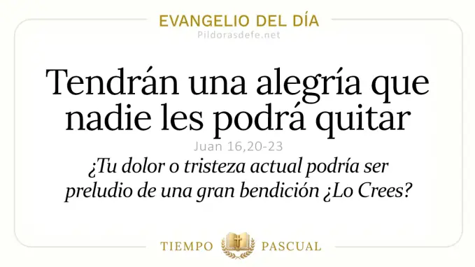 Evangelio del dia Viernes Juan    Tendran alegria nadie podra quitar  may 