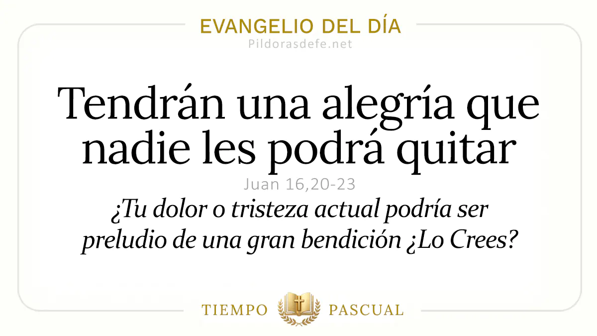 Evangelio del dia Viernes Juan    Tendran alegria nadie podra quitar  may webp