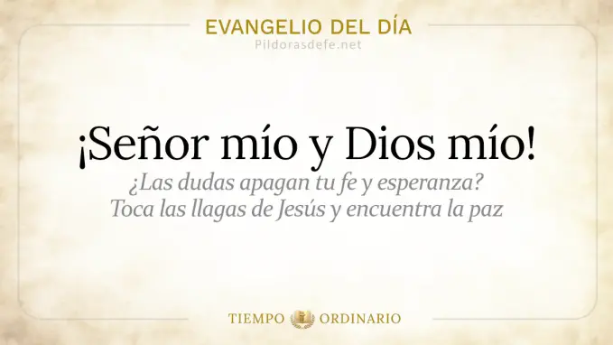 Evangelio del dia Viernes Juan    Senor mio Dios mio  jul 