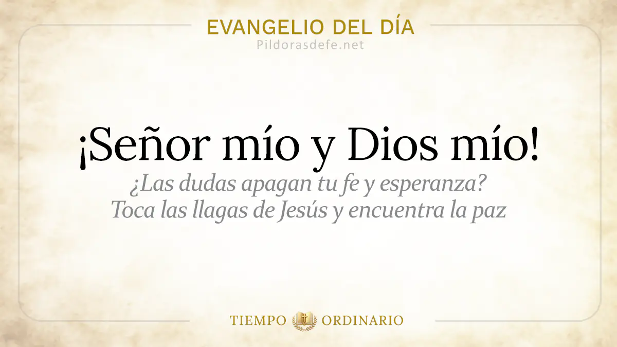 Evangelio del dia Viernes Juan    Senor mio Dios mio  jul webp