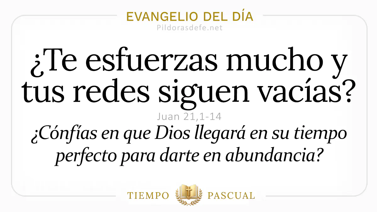 Evangelio del dia Viernes Juan    Mucho esfuerzo redes vacias Jesus prepara pescado  Abril webp