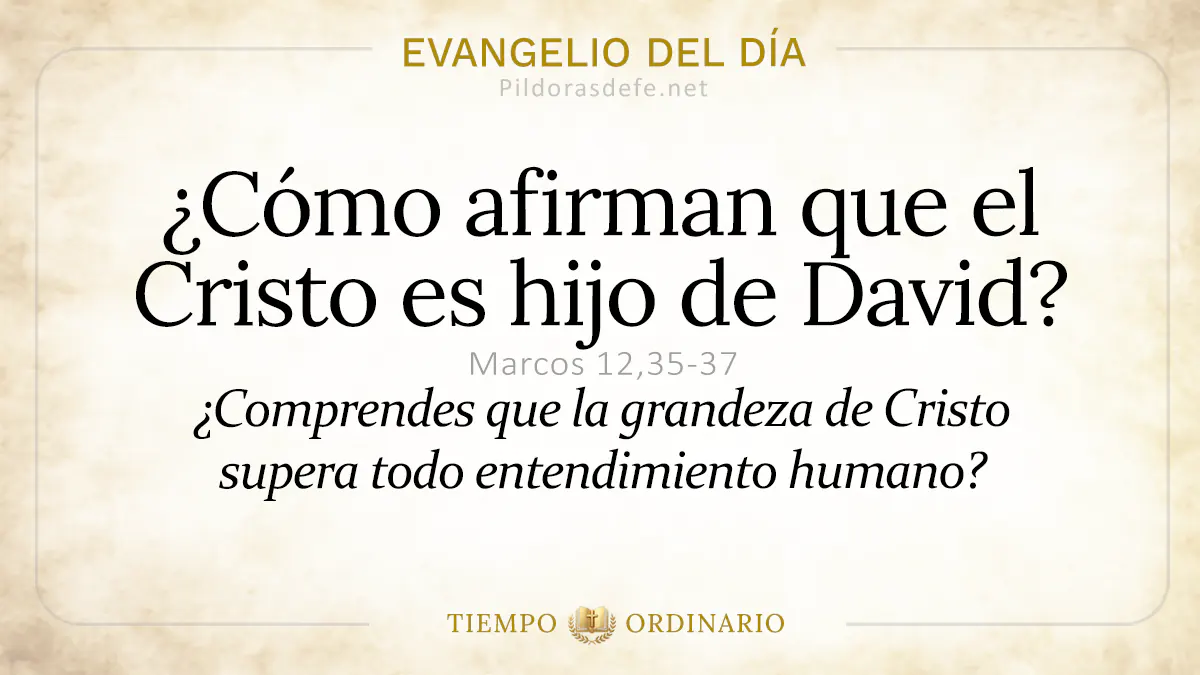 Evangelio del dia Viernes Marcos    Afirman que Cristo es hijo de David  jun webp