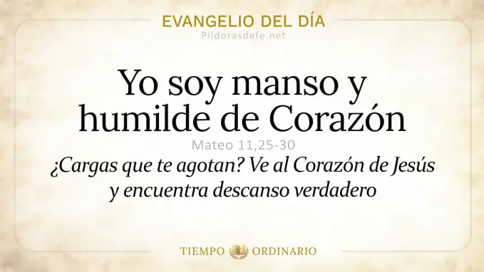 Evangelio del dia Viernes Mateo    Soy manso y humilde de Corazon  jun 