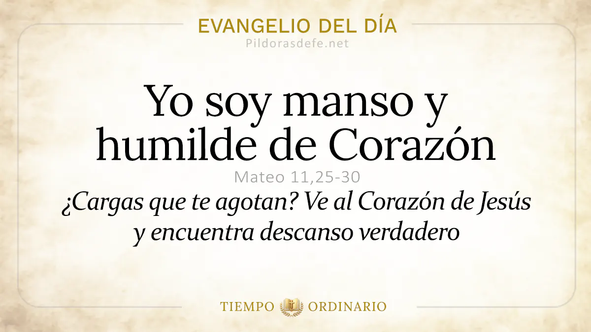 Evangelio del dia Viernes Mateo    Soy manso y humilde de Corazon  jun webp