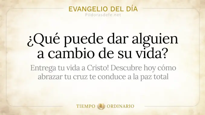 Evangelio del dia Viernes Mateo    Que puede dar alguien a cambio de su vida 