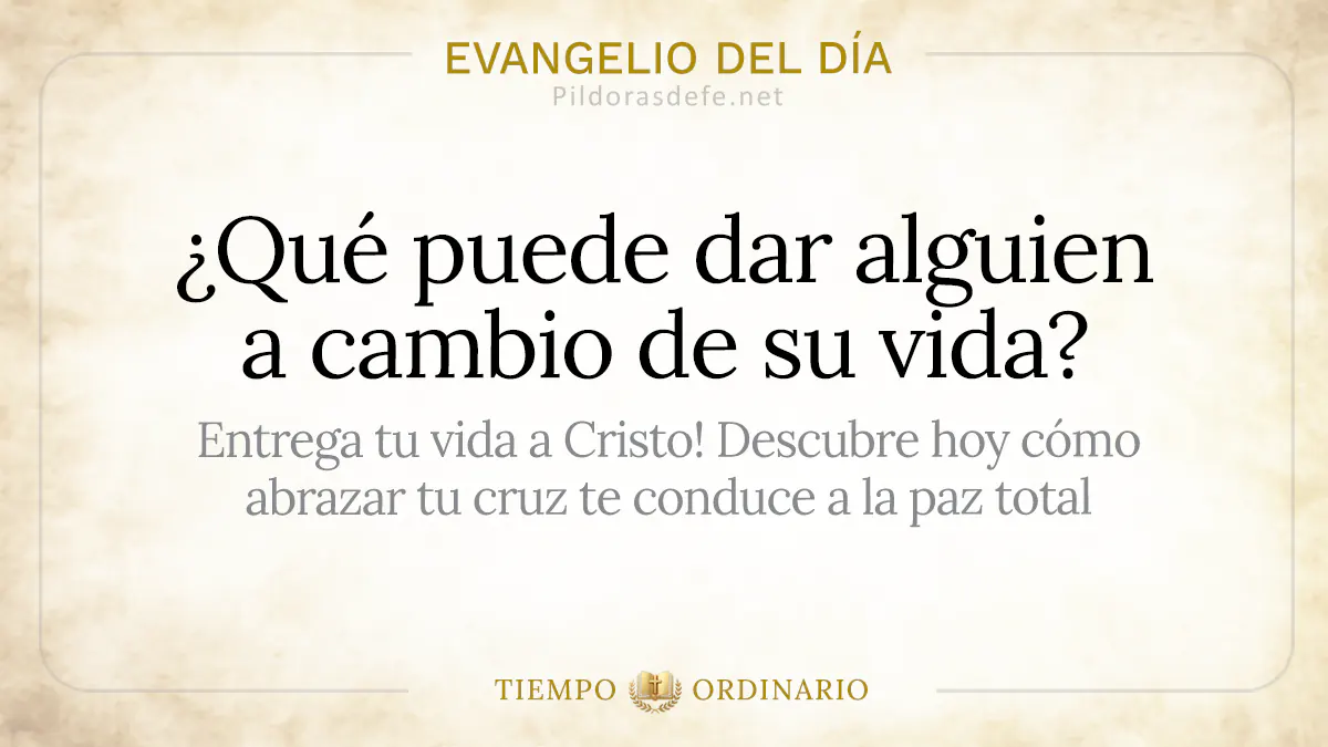 Evangelio del dia Viernes Mateo    Que puede dar alguien a cambio de su vida webp